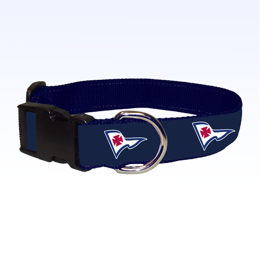 RIBBON DOG COLLAR